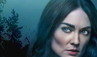 Частный детектив Франческа Куинн