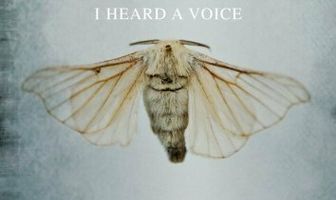 AFI: I Heard a Voice
