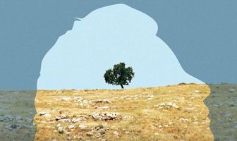 Love in Galilee