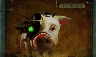 E-Pigs