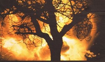 Светало всю ночь