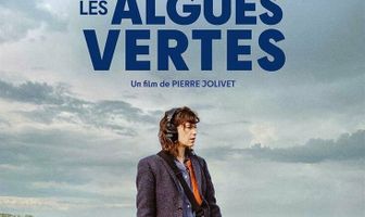 Зеленые водоросли