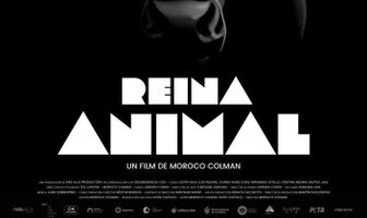 Reina Animal