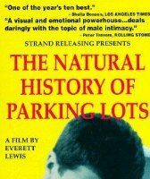 История о парковочных местах