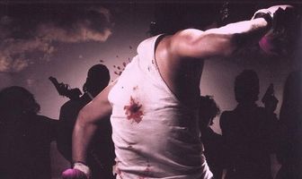 Кулаки розы