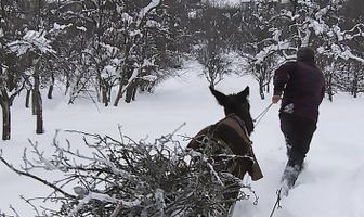 Geroi na nasheto vreme