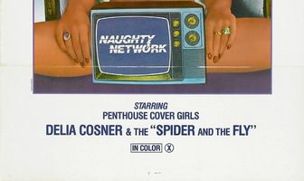 Naughty Network