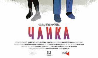 Чайка