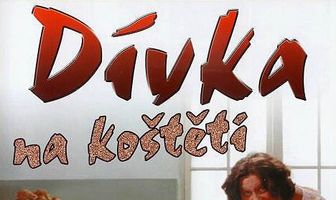 Девушка на метле