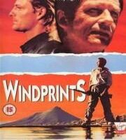 Следы ветра