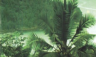 Mionga ki Ôbo: Mar e Selva