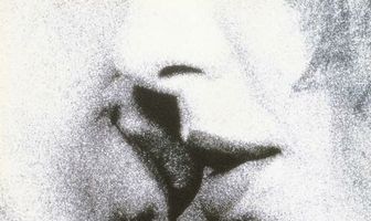 Область чувств