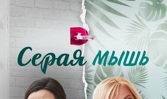 Серая мышь