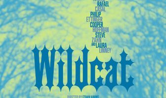 Дикая кошка