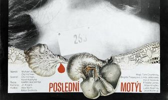 Последняя бабочка