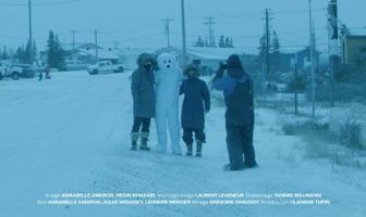 Churchill, Polar Bear Town