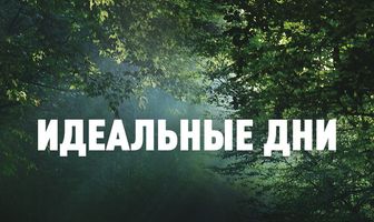 Идеальные дни