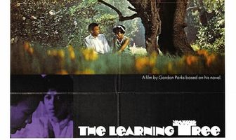 Дерево науки