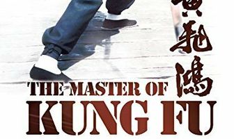 Мастер кунг-фу