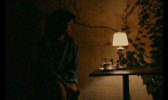 Jackals & Fireflies