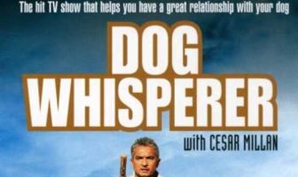 Переводчик с собачьего