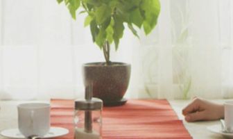 Молодец, что зашла