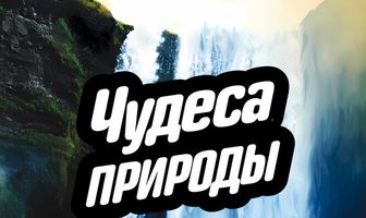 Чудеса природы