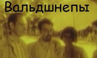 Вальдшнепы