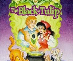 Черный Тюльпан
