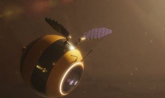 Buzz