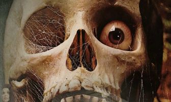 Склеп ужаса