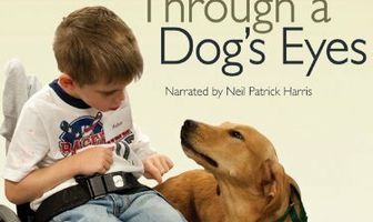Through a Dog's Eyes