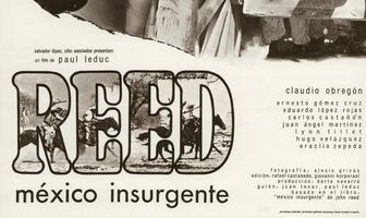 Мексиканский повстанец