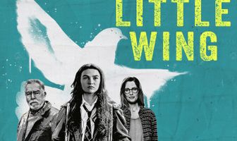 Маленькое крылышко