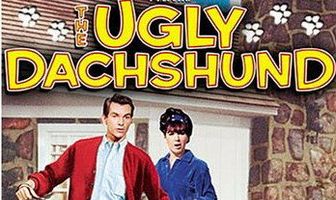 Гадкая такса