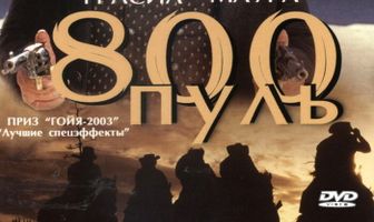 800 пуль