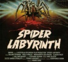 Гнездо пауков