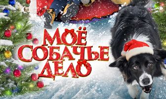 Моё собачье дело