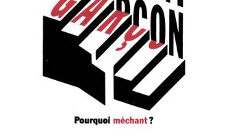 Méchant garçon