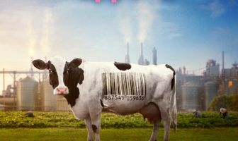 Корпорация «Еда» 2