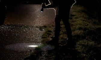 Ненастоящий детектив