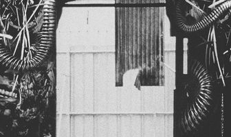 Тэцуо, железный человек