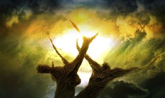 Плетеное дерево