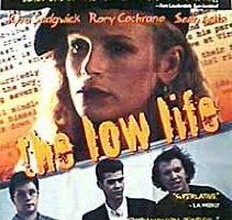 Собачья жизнь