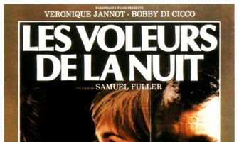 Ночные воришки