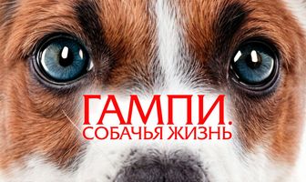 Гампи. Собачья жизнь