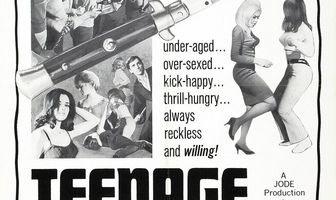 Новенькая в молодежной банде