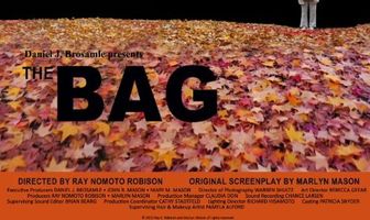 The Bag