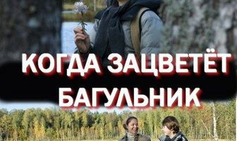 Когда зацветёт багульник