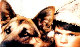 Одинокий волк